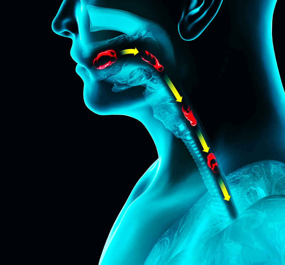 An Overview of Esophageal Spasm Symptoms, Diagnosis, Treatment, and