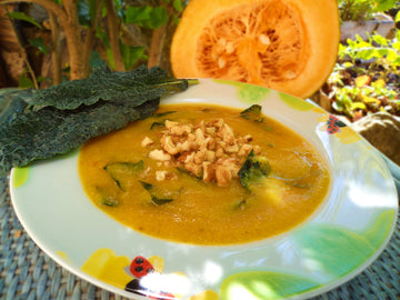 SUN-ORANGE CREAMY SOUP