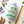 Alpha-Lipoic Acid