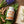 Turmeric Curcumin - USDA Organic